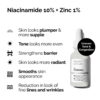 ست سرم د اسکین ساپورت حاوی سرم نیاسینامید 10% + زینک 1% و سرم هیالورونیک اسید 2% + B5 اوردینری | Ordinary